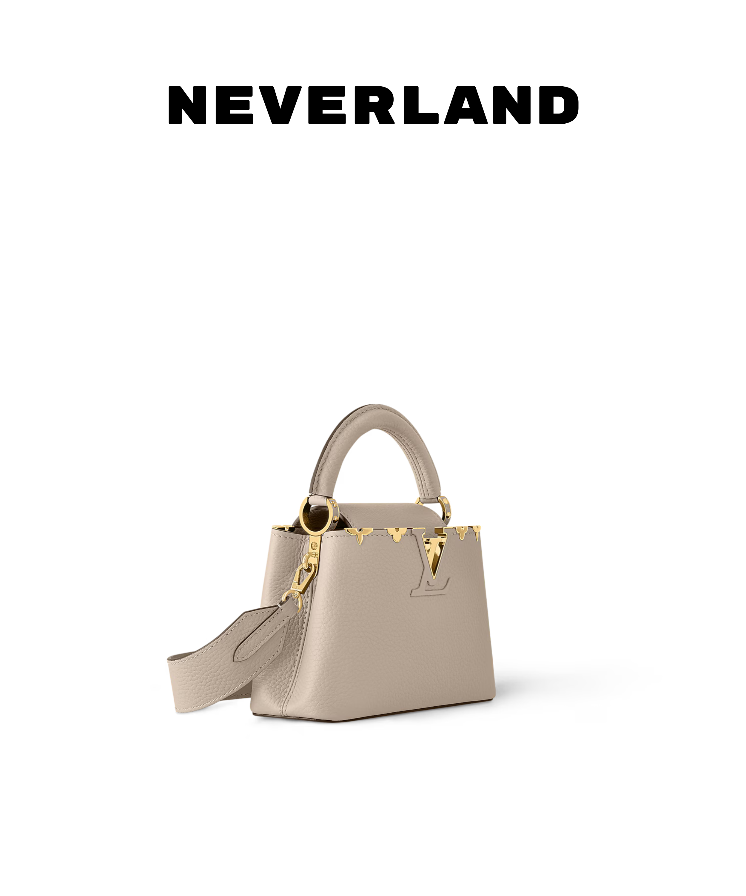 Louis Vuitton Capucines Mini Handbag