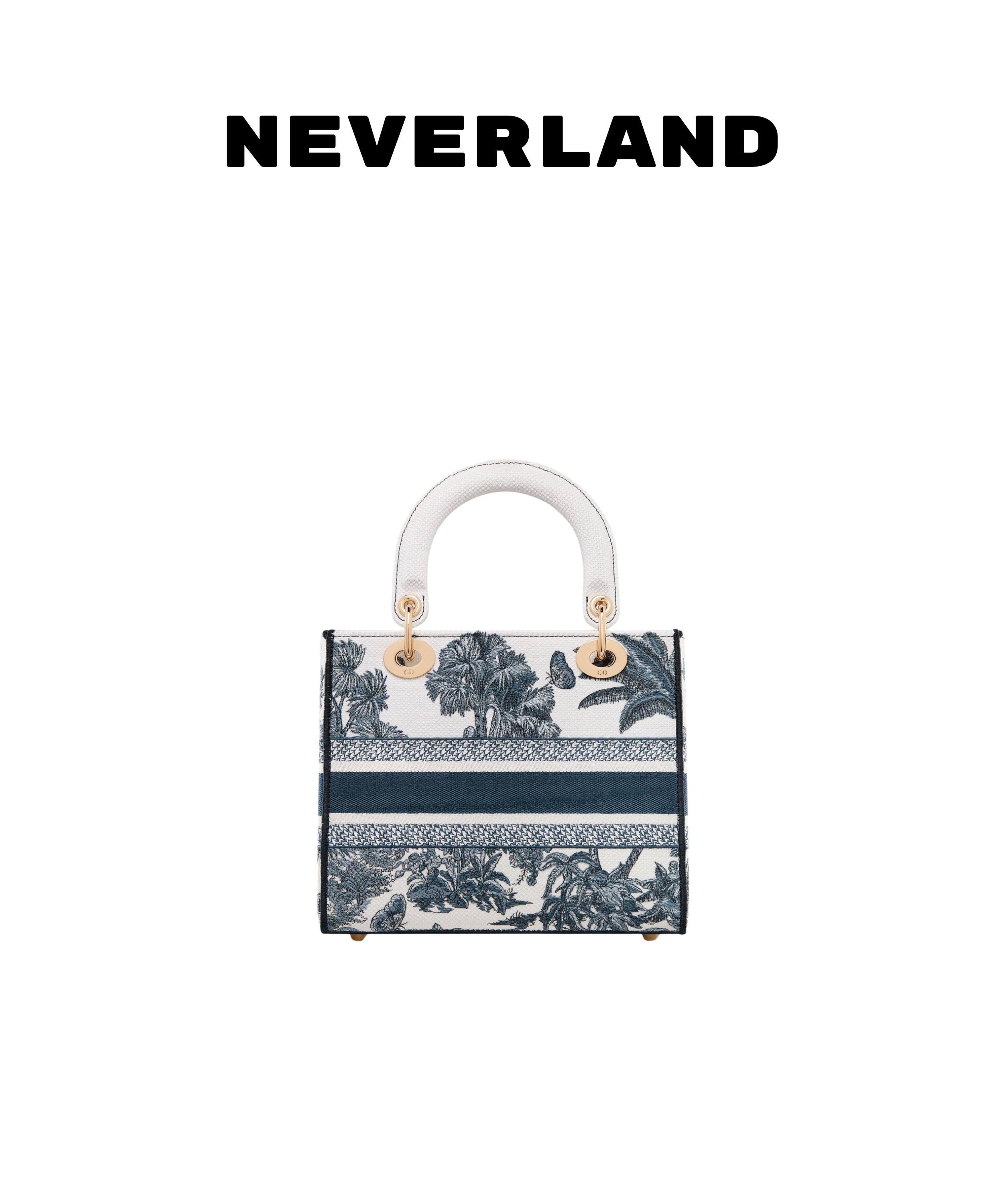 Dior Dioriviera Medium Lady D-Lite Bag