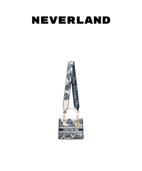 Dior Dioriviera Medium Lady D-Lite Bag (Pre-Owned)