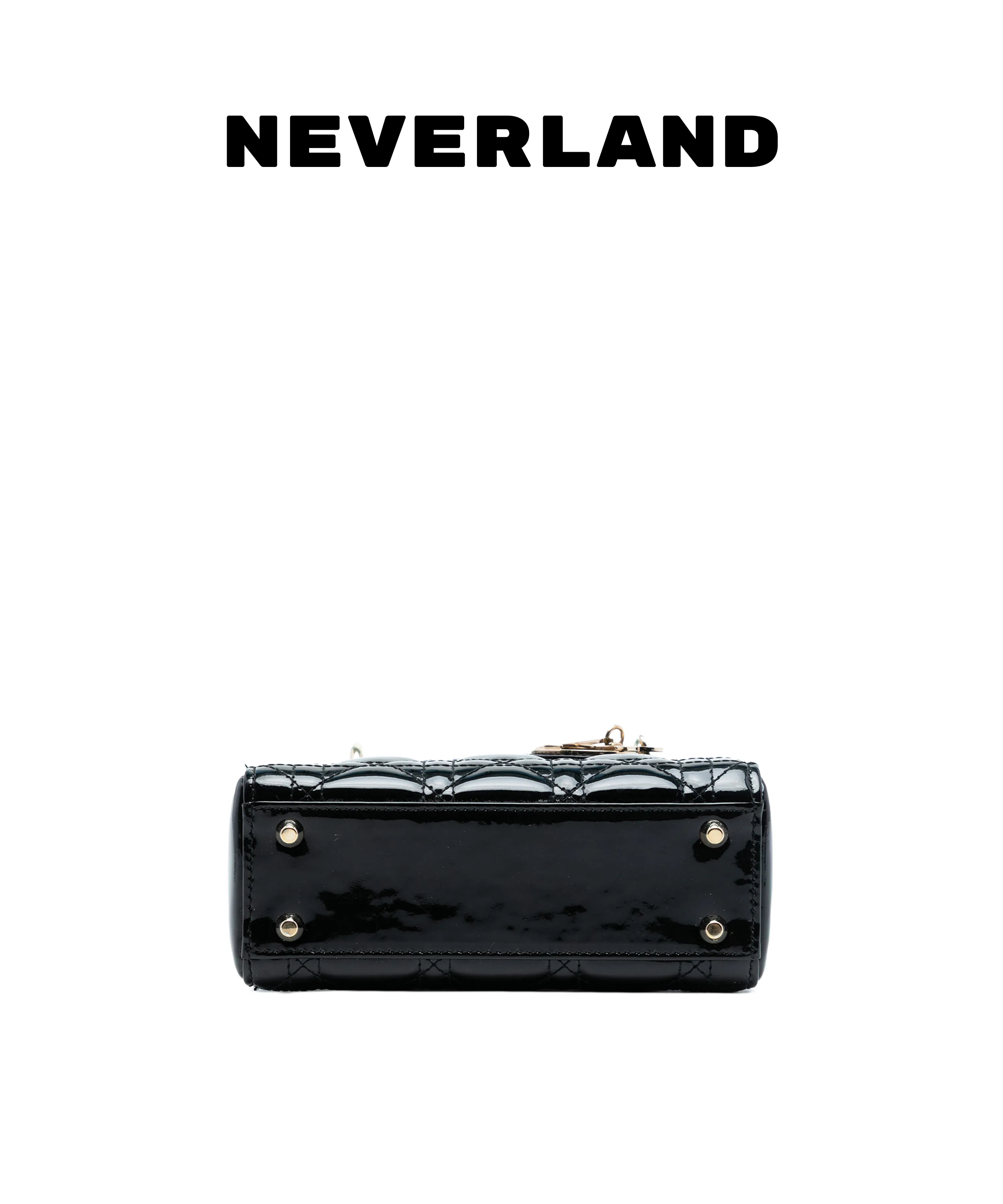 Dior Dioriviera Medium Lady D-Lite Bag