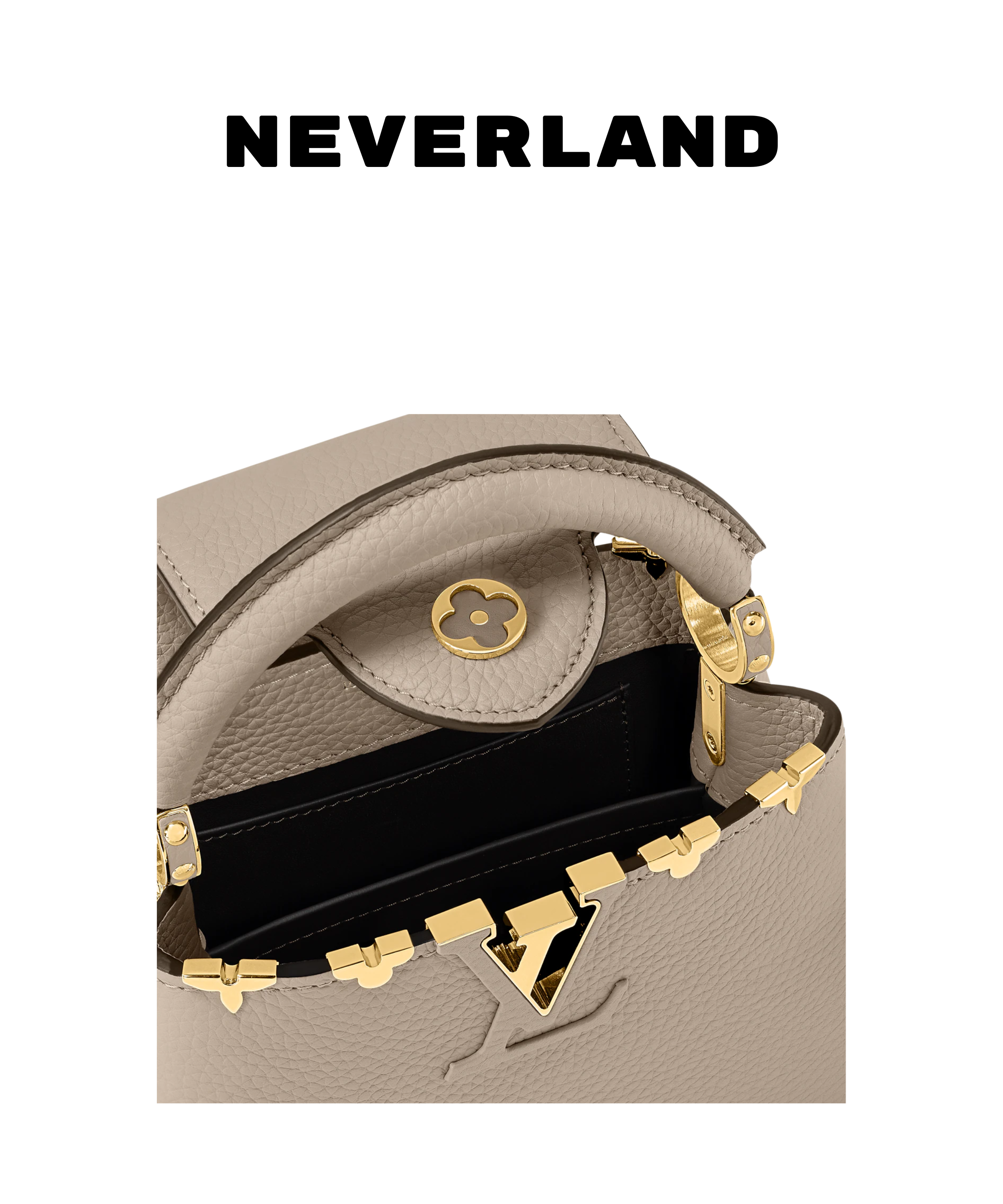 Louis Vuitton Capucines Mini Handbag