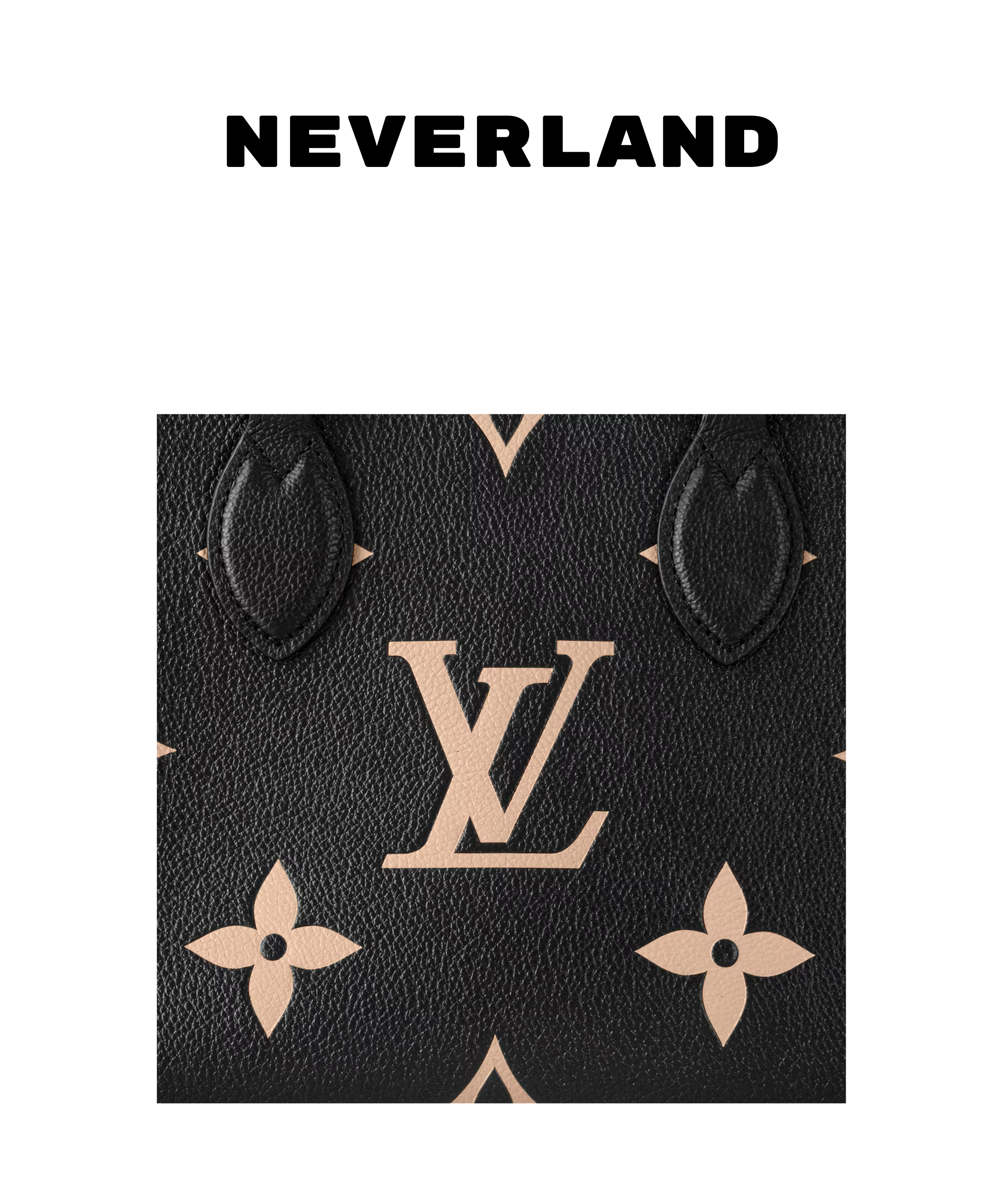 Louis Vuitton OnTheGo PM Monogram Empreinte Bicolor