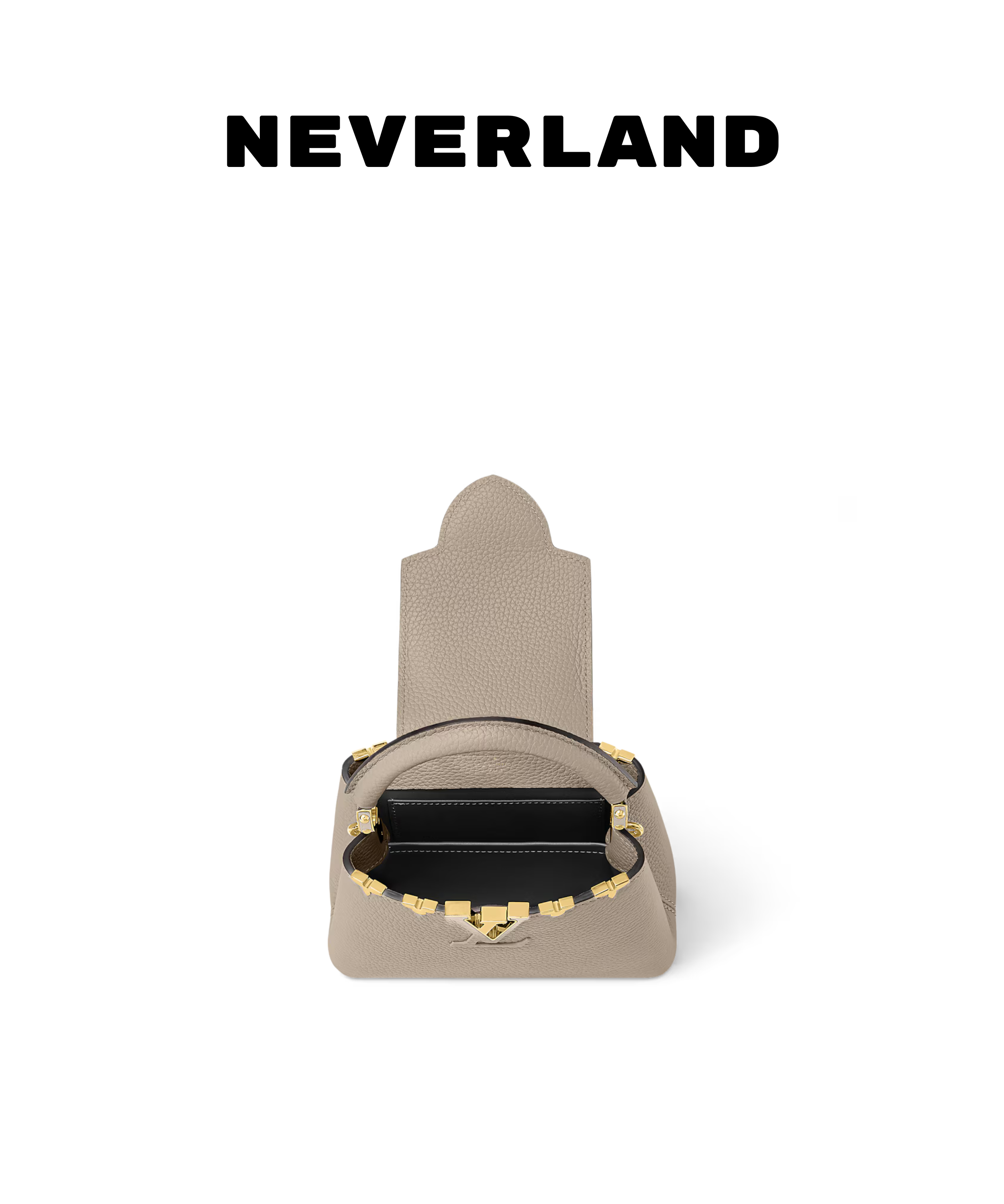 Louis Vuitton Capucines Mini Handbag